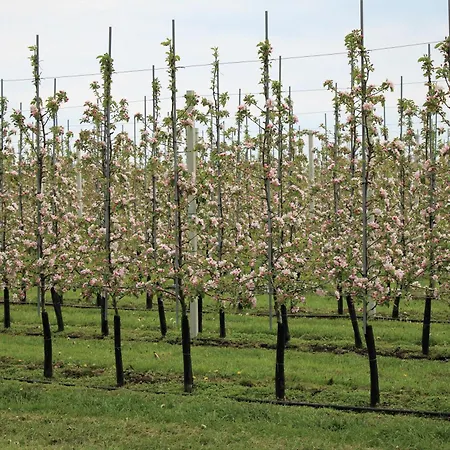 Bloom-inn Gastvrij Genieten Сasa de vacaciones Doornenburg