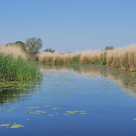 Сasa de vacaciones Bloom-inn Gastvrij Genieten *