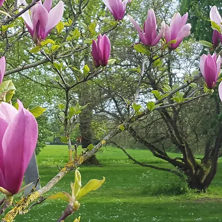 Bloom-inn Gastvrij Genieten