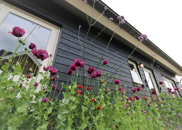 Bloom-inn Gastvrij Genieten * Doornenburg