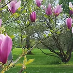 Bloom-inn Gastvrij Genieten