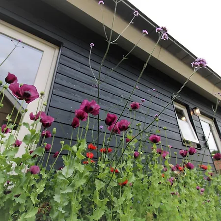 Bloom-inn Gastvrij Genieten * Doornenburg