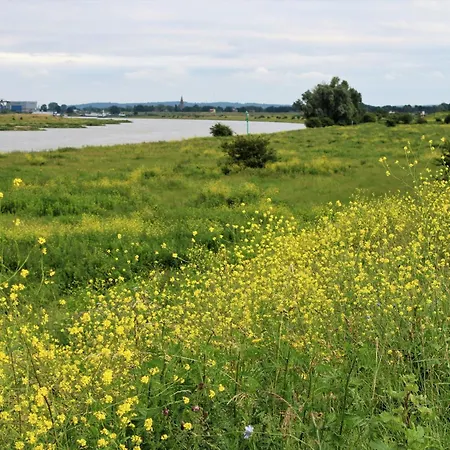 Holiday home Bloom-inn Gastvrij Genieten