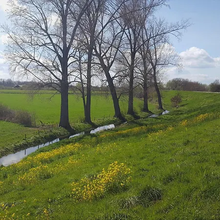 Holiday home Bloom-inn Gastvrij Genieten