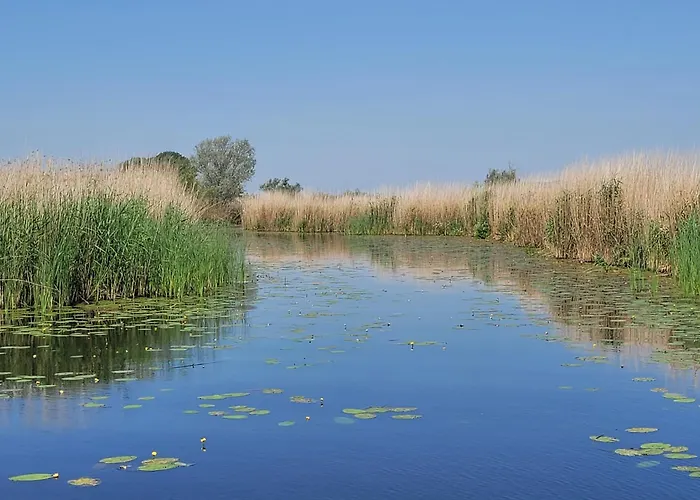 Nyaraló Bloom-inn Gastvrij Genieten *