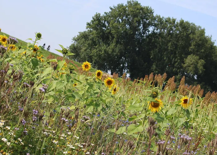 Bloom-inn Gastvrij Genieten Doornenburg