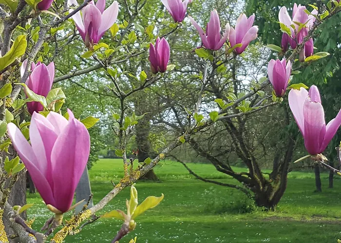 Bloom-inn Gastvrij Genieten