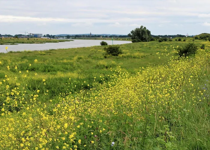 Nyaraló Bloom-inn Gastvrij Genieten